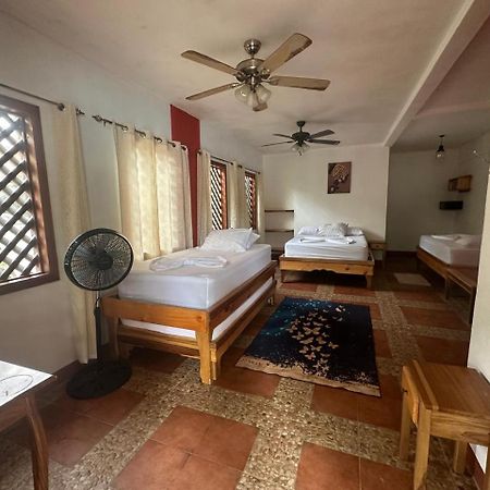 Hotel Don Quichotte Tortuguero Dış mekan fotoğraf