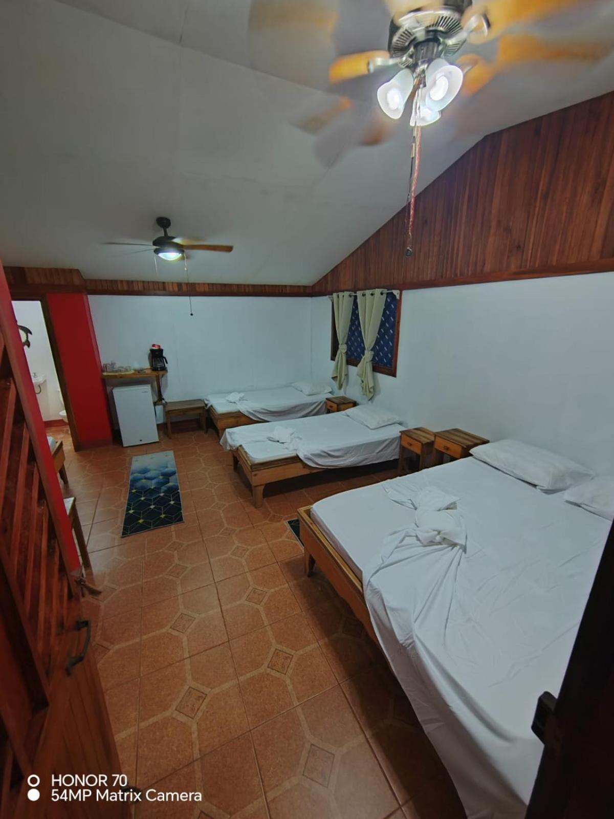 Hotel Don Quichotte Tortuguero Dış mekan fotoğraf