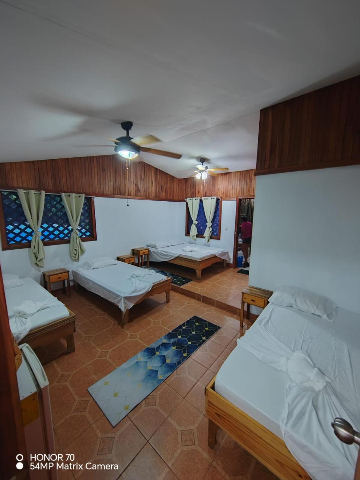 Hotel Don Quichotte Tortuguero Dış mekan fotoğraf