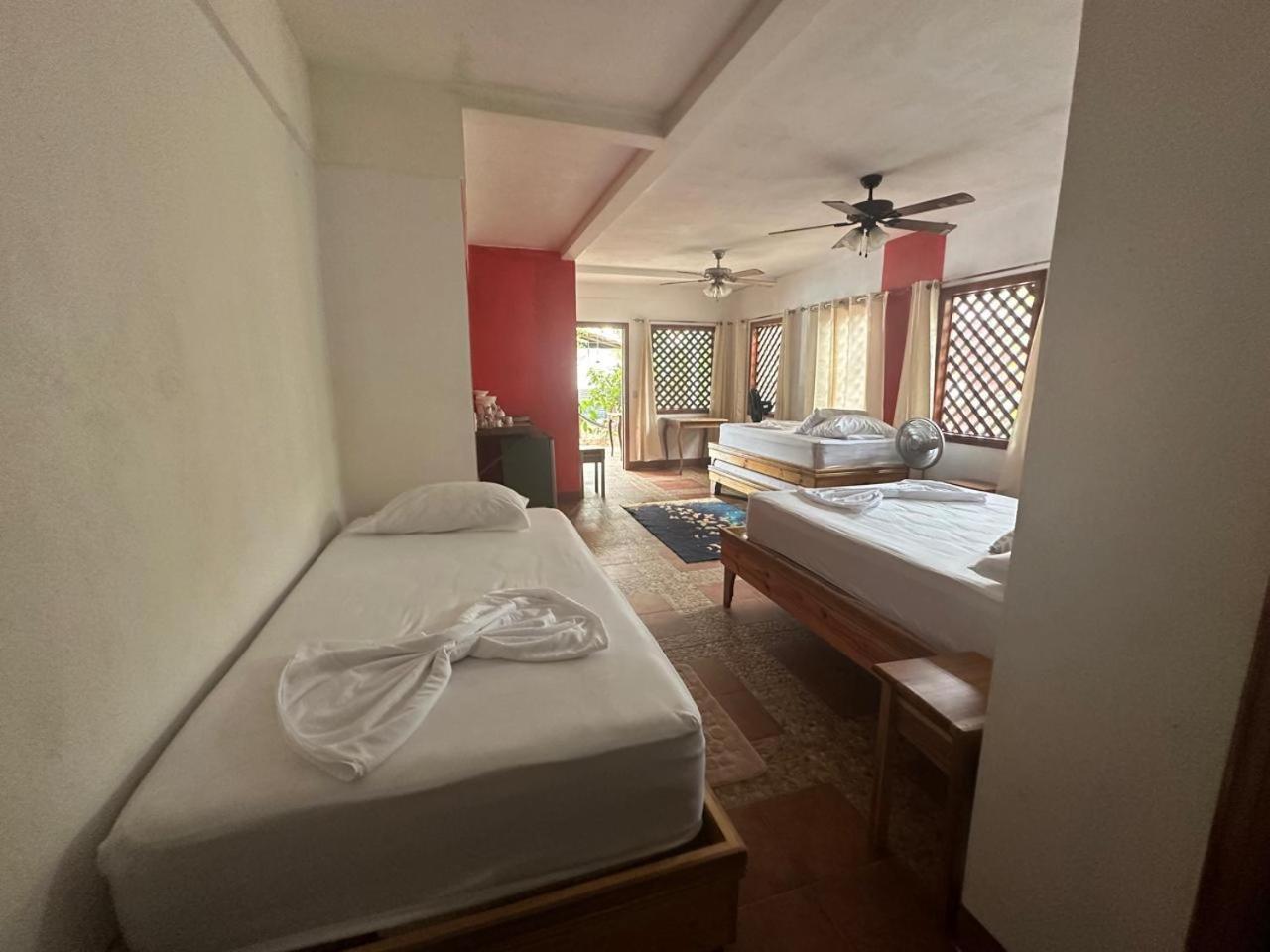 Hotel Don Quichotte Tortuguero Dış mekan fotoğraf