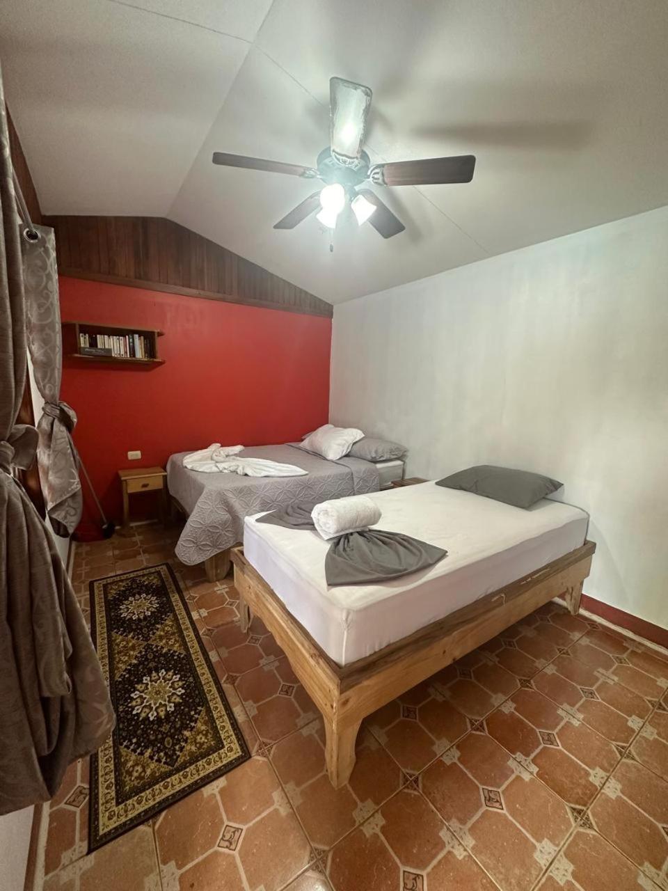 Hotel Don Quichotte Tortuguero Dış mekan fotoğraf