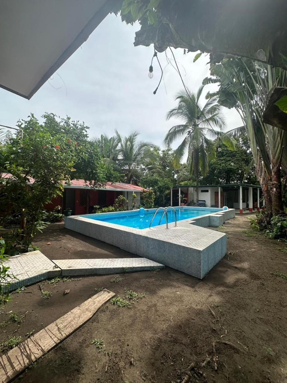 Hotel Don Quichotte Tortuguero Dış mekan fotoğraf