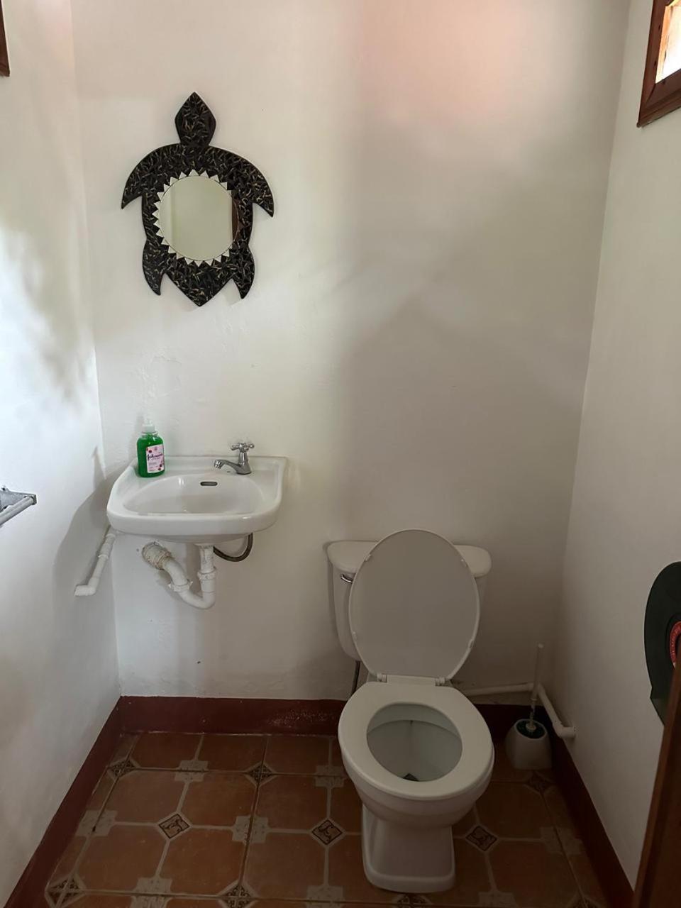 Hotel Don Quichotte Tortuguero Dış mekan fotoğraf