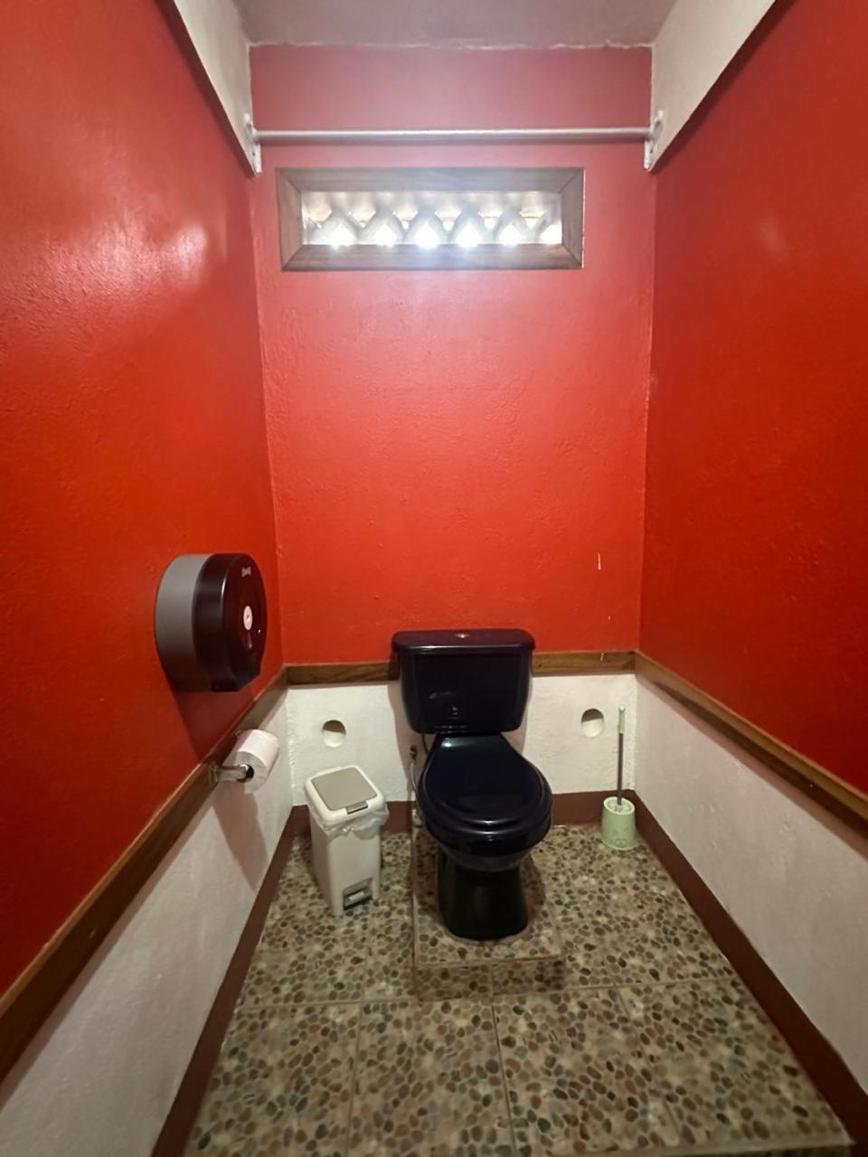 Hotel Don Quichotte Tortuguero Dış mekan fotoğraf