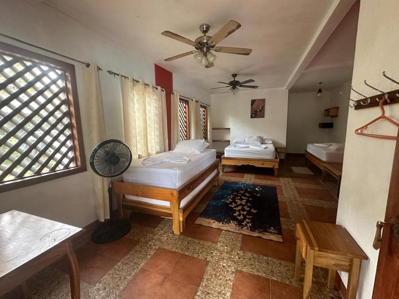 Hotel Don Quichotte Tortuguero Dış mekan fotoğraf