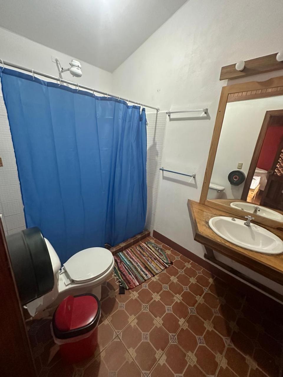 Hotel Don Quichotte Tortuguero Dış mekan fotoğraf