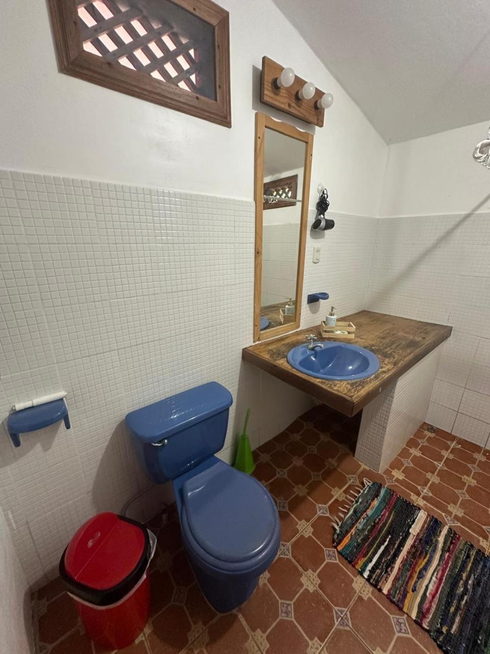 Hotel Don Quichotte Tortuguero Dış mekan fotoğraf