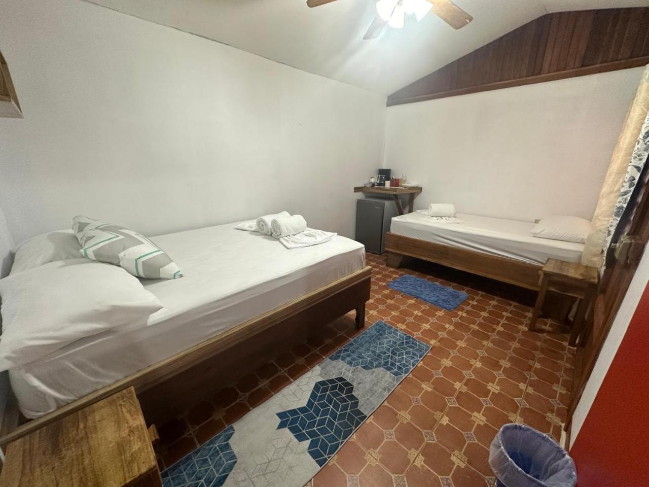 Hotel Don Quichotte Tortuguero Dış mekan fotoğraf