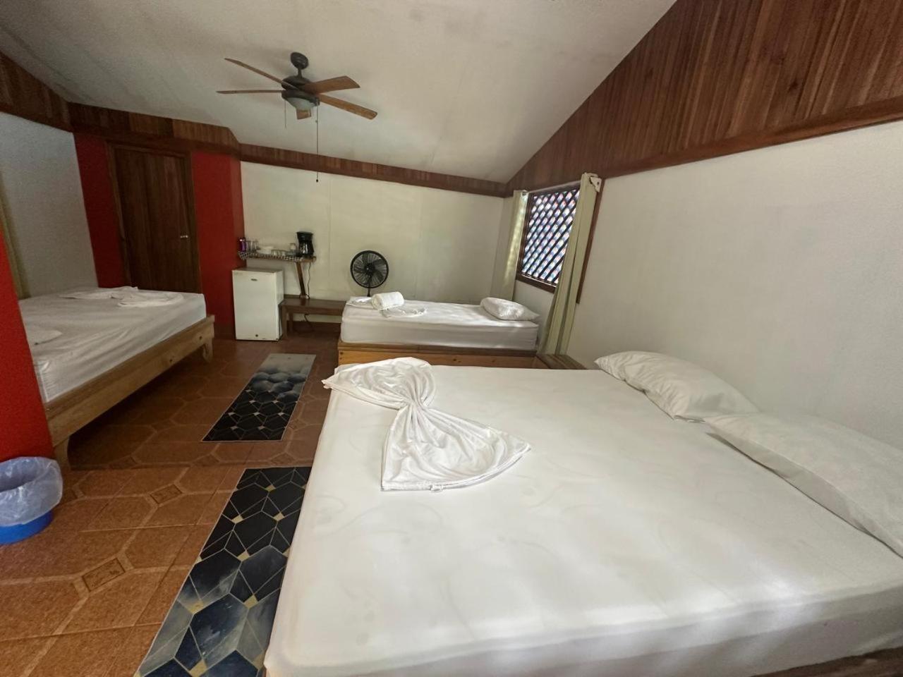 Hotel Don Quichotte Tortuguero Dış mekan fotoğraf