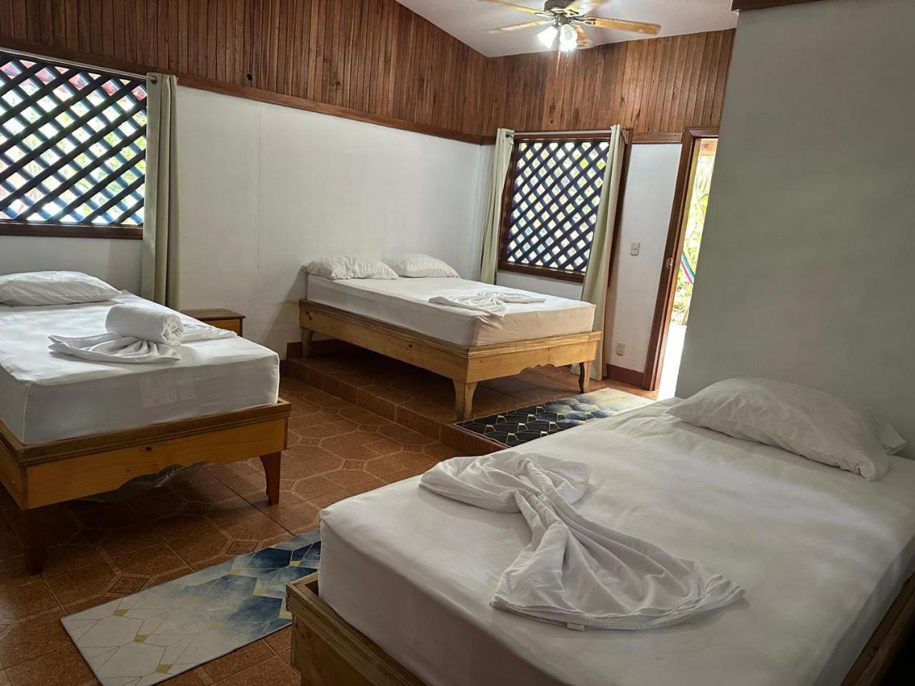 Hotel Don Quichotte Tortuguero Dış mekan fotoğraf